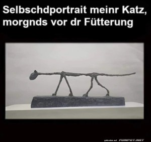 Katze-vor-der-Ftterung.jpg auf www.funpot.net