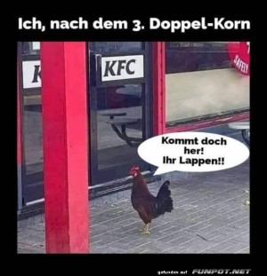 Huhn-vor-KFC-nach-zu-viel-Alkohol.jpg auf www.funpot.net