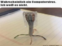 Seltsamer Kabelvirus entdeckt