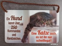 Katze vs. Hund: Befehle und Gleichgültigkeit