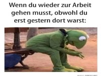 M�der Frosch auf der Bank