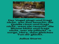 der vogel singt und fragt nicht