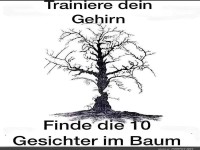 Wo sind die Baumgesichter versteckt?