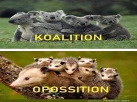 Wenn Politik tierisch wird