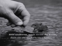 Ein Blatt f�r die Maus