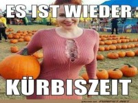 Krbis-Saison mit Stil