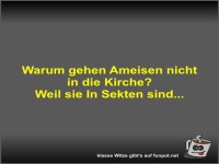 Warum gehen Ameisen nicht in die Kirche?