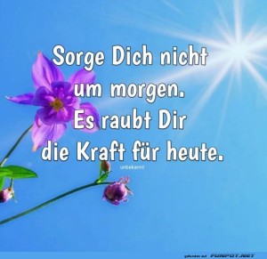 herz-Bild: Blumige Weisheit unter der Sonne