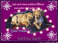 Hab noch einen schoenen Abend