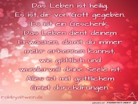 Das Leben ist heilig