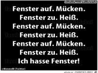 Fenster