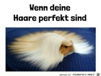 Haare sch�n