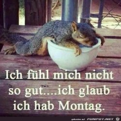 Ich-hab-Montag.jpg auf www.funpot.net