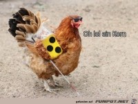 Auch ein blindes Huhn