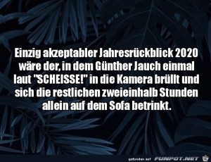 Der-einzig-akzeptable-Jahresrckblick-2020.jpg auf www.funpot.net