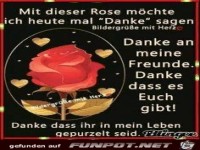 Mit dieser Rose moecht ich heute mal danke sagen