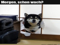 Schon wach?
