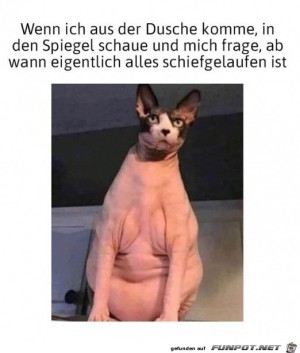 Ab-wann-ist-nur-alles-schief-gelaufen.jpg auf www.funpot.net