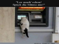 Spuck die M�use aus