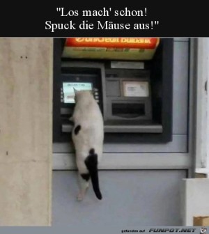 Spuck-die-Muse-aus.jpg auf www.funpot.net