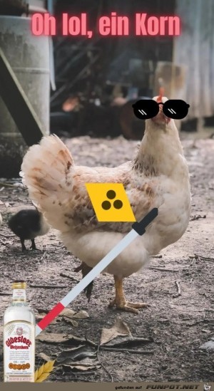 Auch-ein-blindes-Huhn-findet-mal-ein-Korn.jpg auf www.funpot.net