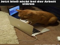 Nicht st�ren