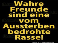 Wahre Freunde