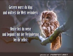Heute-bist-du-weise.jpg auf www.funpot.net