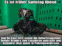 Wenn der Samstagabend eskaliert