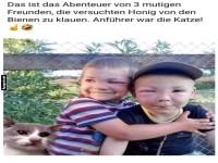 Abenteuer von drei mutigen Freunden