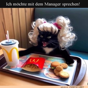 Katze-mit-Percke-und-Fast-Food.jpg von Luka22