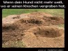 weiter