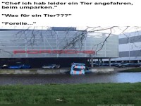 Parken mit Aquaplaning: Ein Porsche im See!
