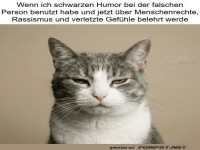 Kater der Realit�t: Wenn Humor aus dem Ruder l�uft