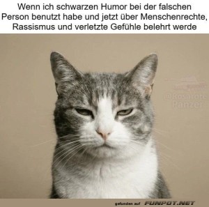 Kater-der-Realit�t:-Wenn-Humor-aus-dem-Ruder-l�uft.jpg auf www.funpot.net