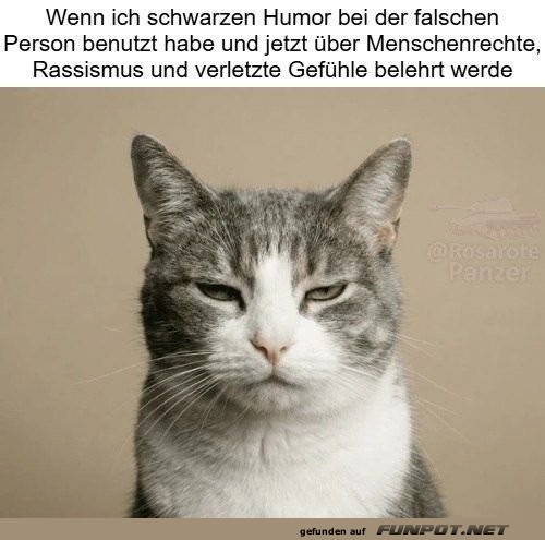 Kater-der-Realit�t:-Wenn-Humor-aus-dem-Ruder-l�uft.jpg auf www.funpot.net