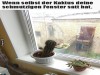 weiter