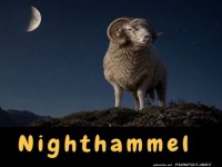 Wenn Schafe zu Helden der Nacht werden