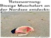 weiter