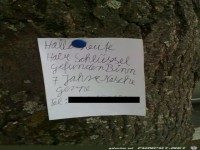 Hallo Leute - habe Schlssel gefunden...