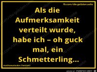 diegeilsten Aufmerksamkeit