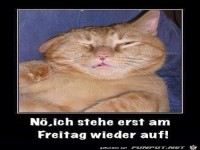 erst freitag aufstehen