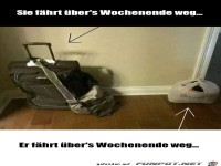 differences-between-men-women-08