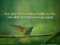 Ist die Freundschaft echt