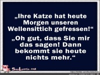 Ihre-Katze-heute-morgen-unseren-Wellensittich-gefressen