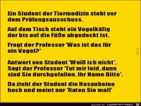 ein Student vor dem Pr�fungsausschuss....