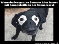 immer mit Sonnenbrille......