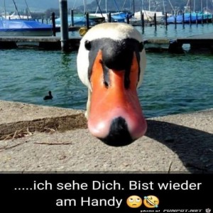 Begr&uuml;&szlig;ungsbild