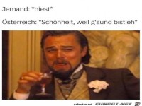 Die sterreicher sind direkt