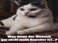 Was wenn der Mensch...